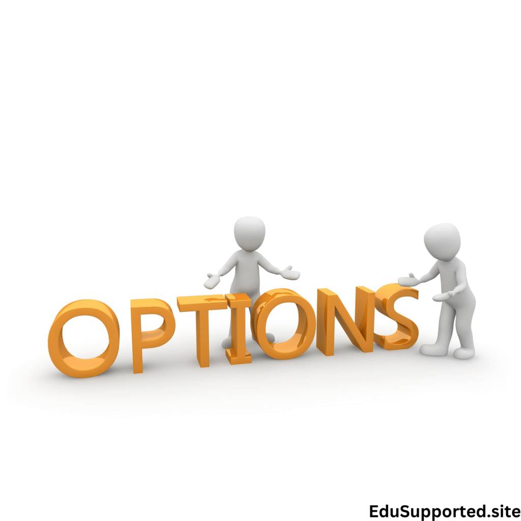 smart option student loan